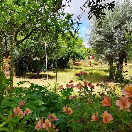 Bed & Breakfast Quinta Dos Church *