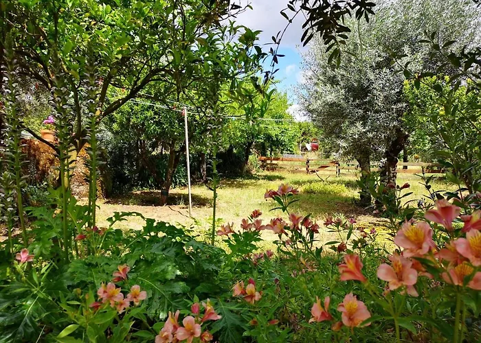 Prázdninový dům Quinta Dos Church *